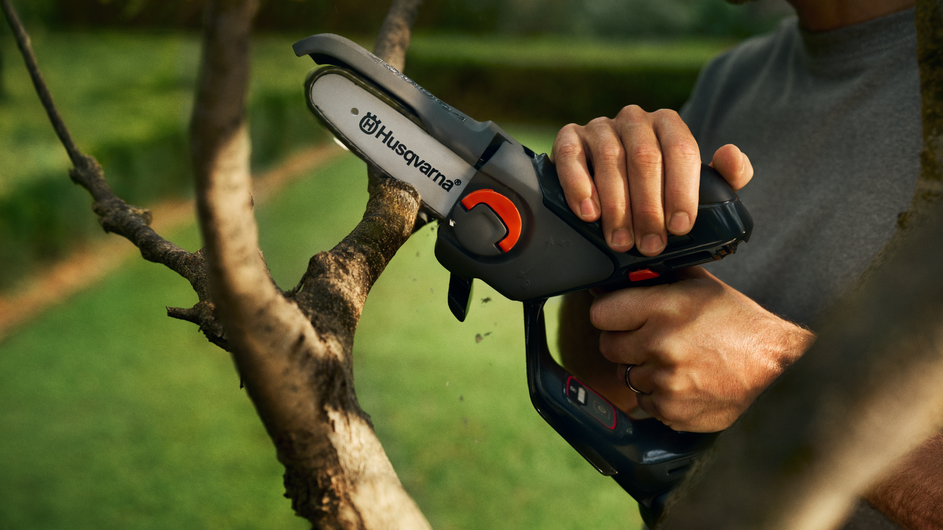 pruner cutting tree branches